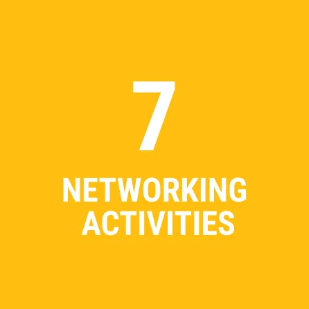 7 networking activities